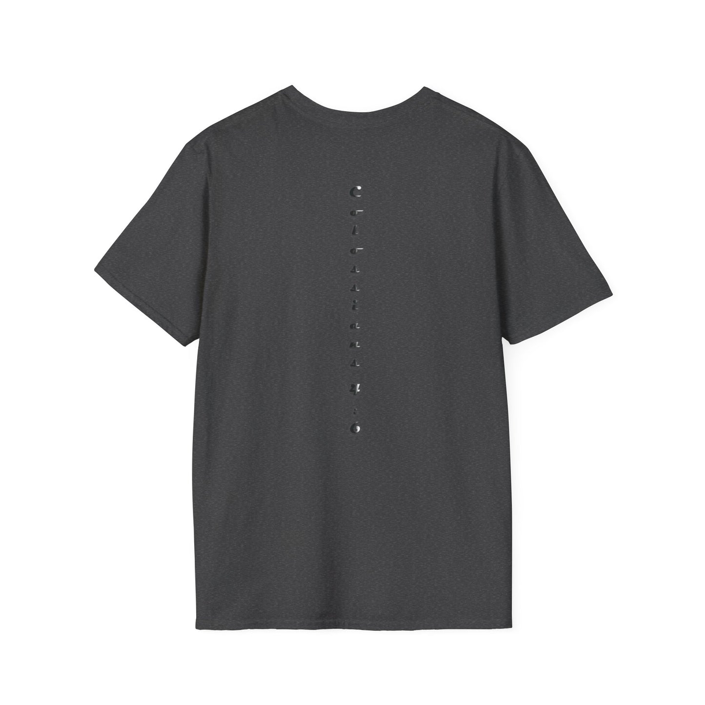 BE SALTY Unisex Softstyle T-Shirt